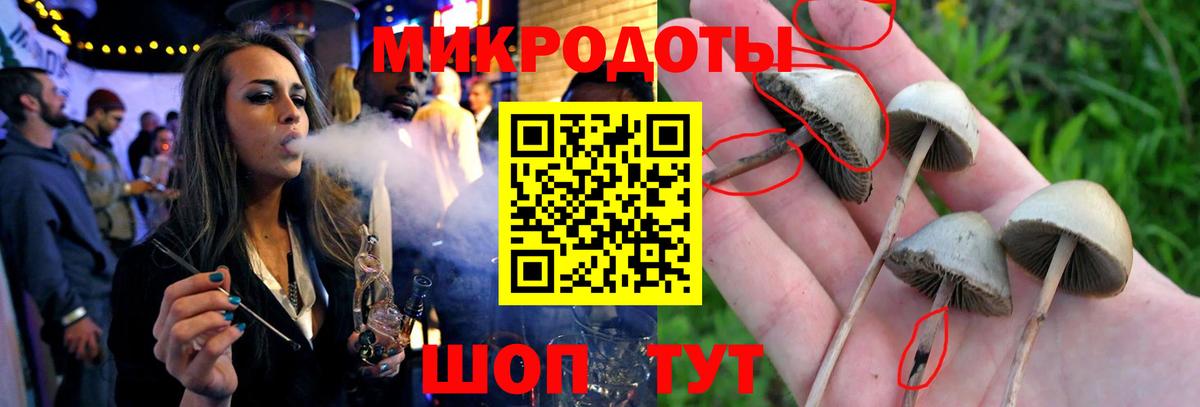 Долгопрудный  Галлюциногенные грибы GOLDEN TEACHER  Вход с VPN 